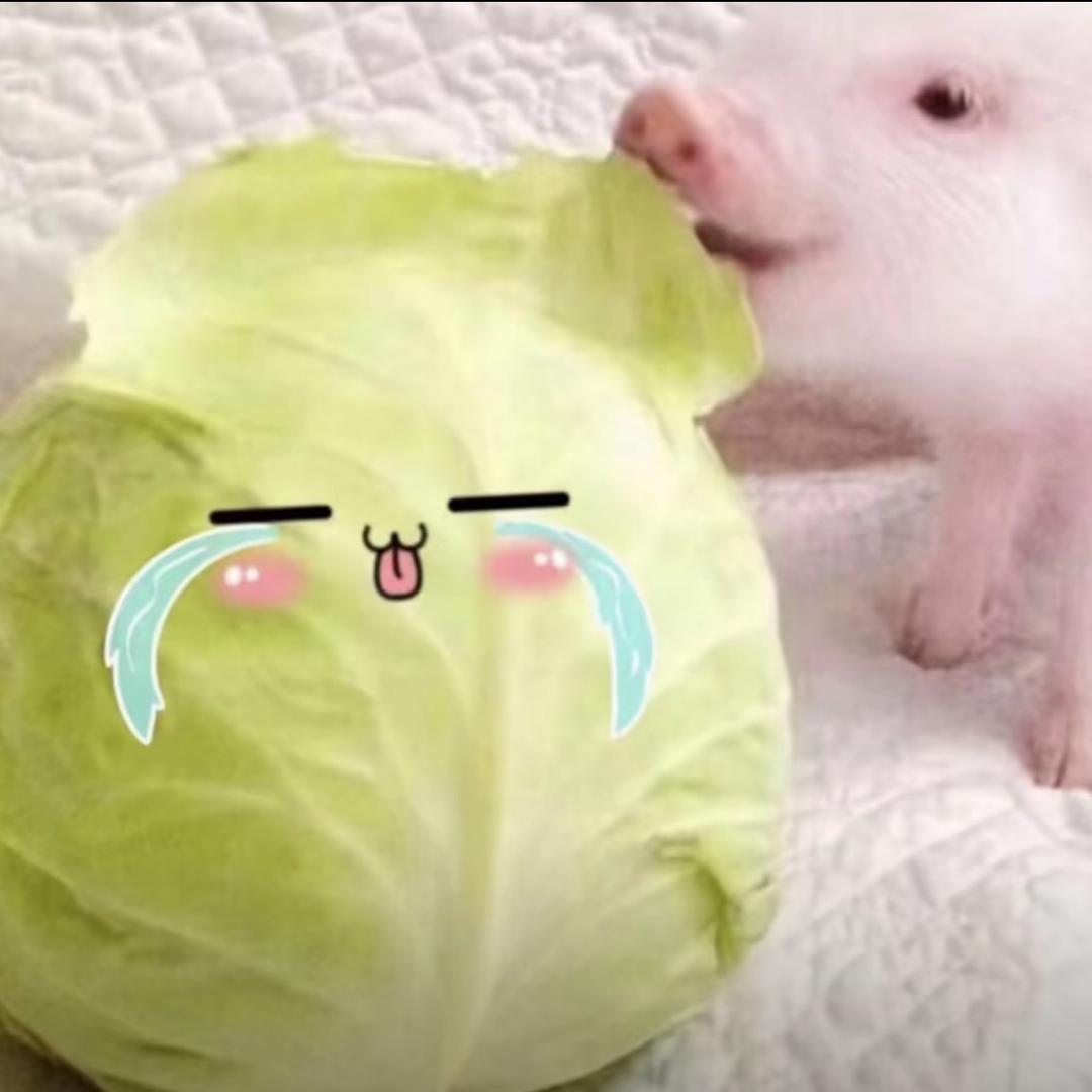 最有出息的女人