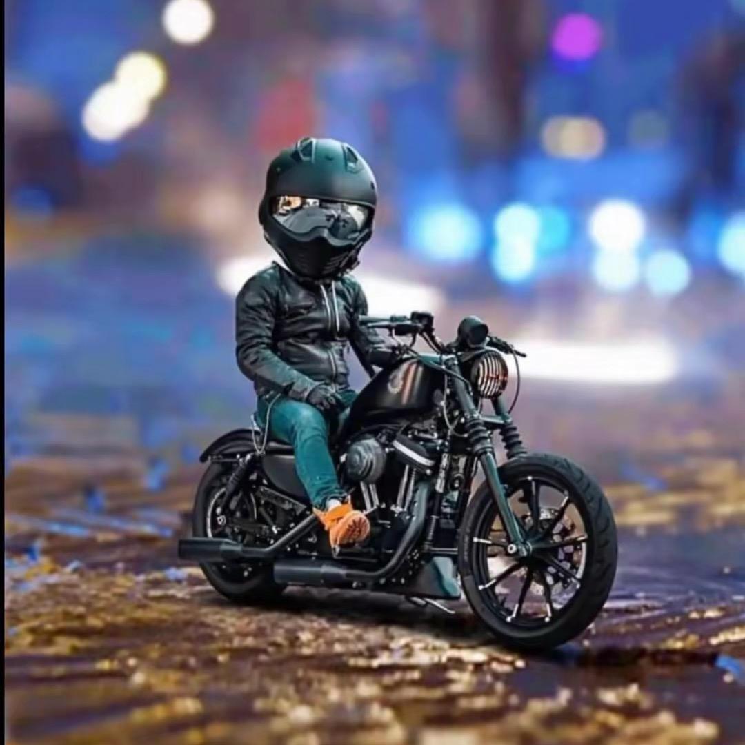 蓝桉已遇释怀鸟