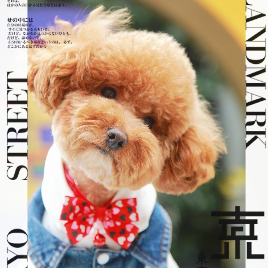 我想静静