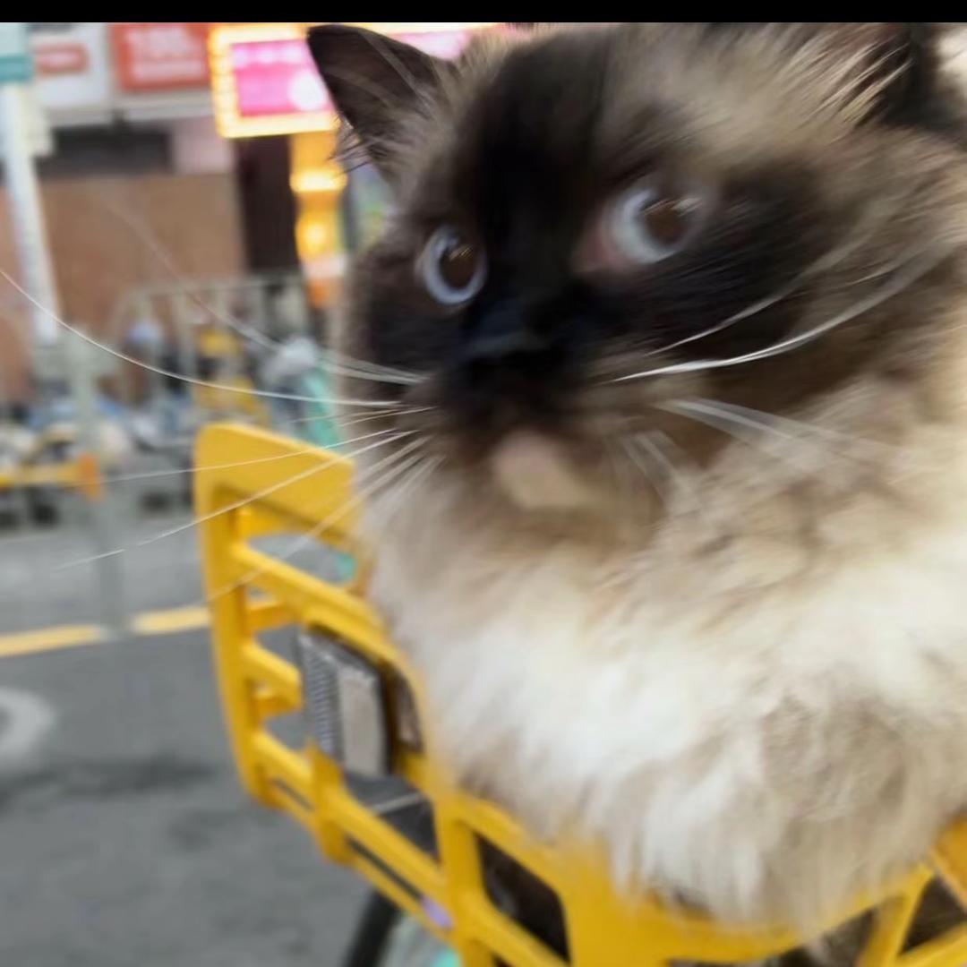 蜡笔小柒