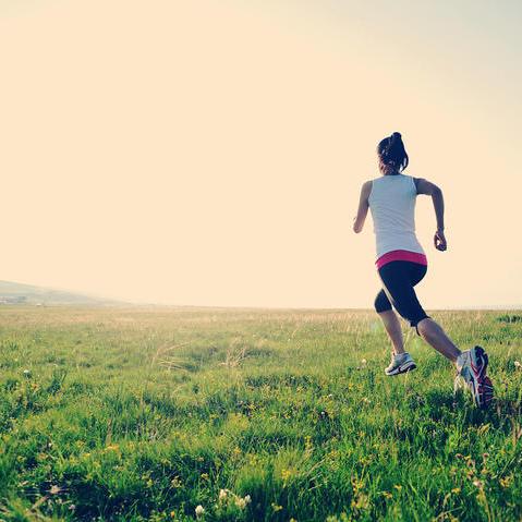 运动休闲服装店l