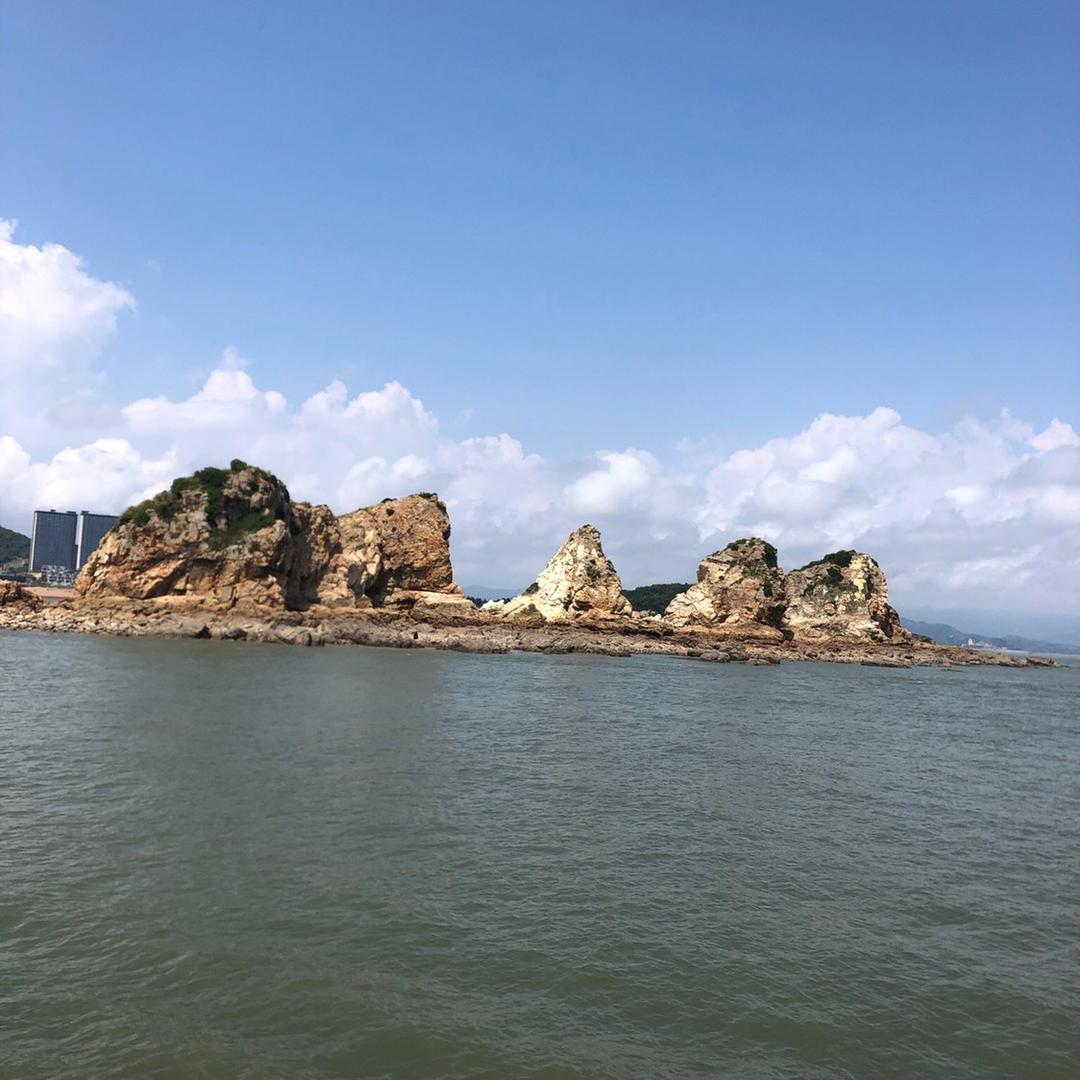 红 树 林