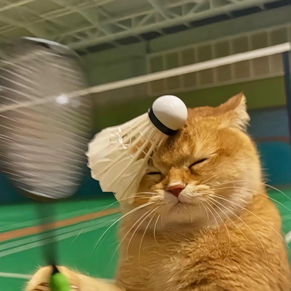 啊大