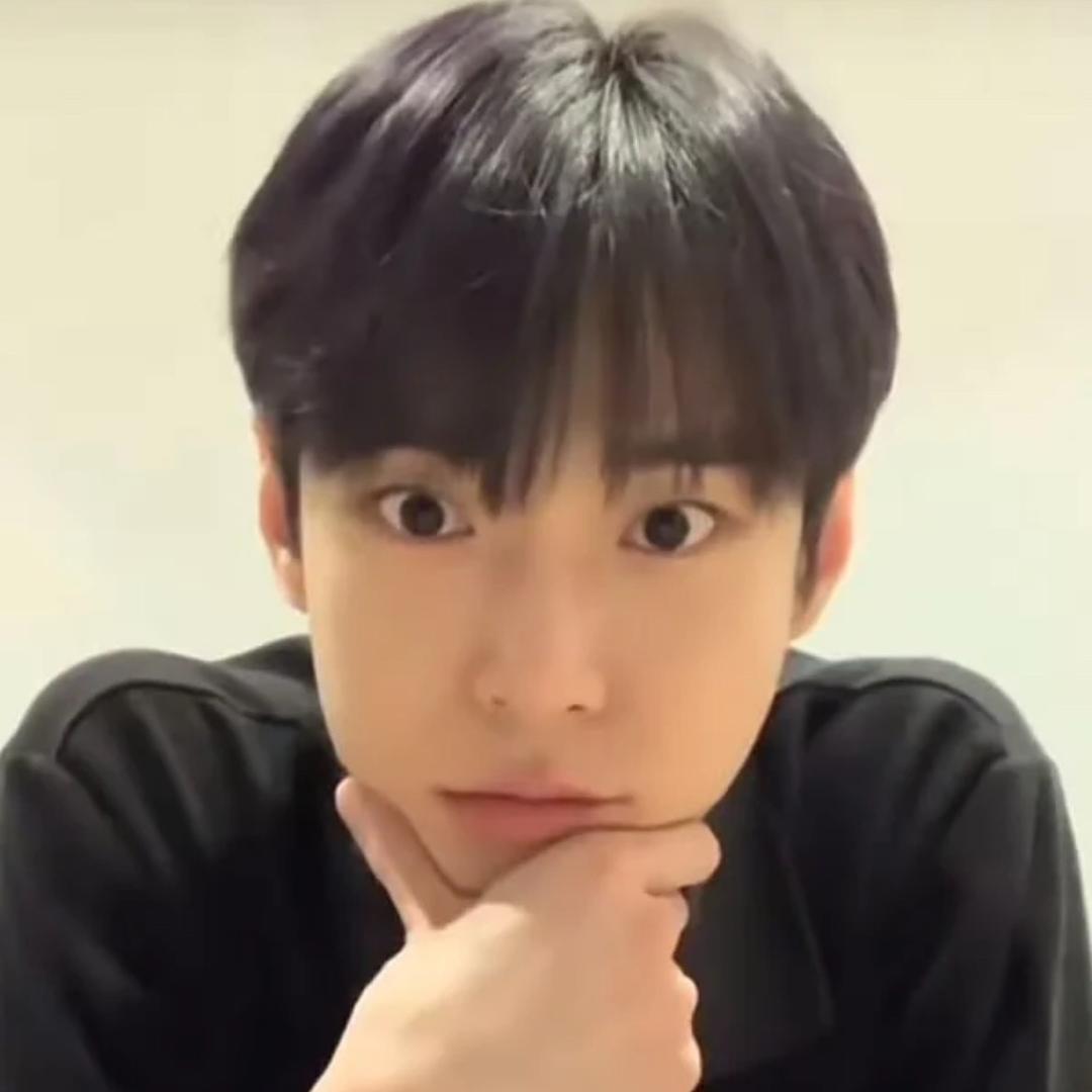 今天也很凡心