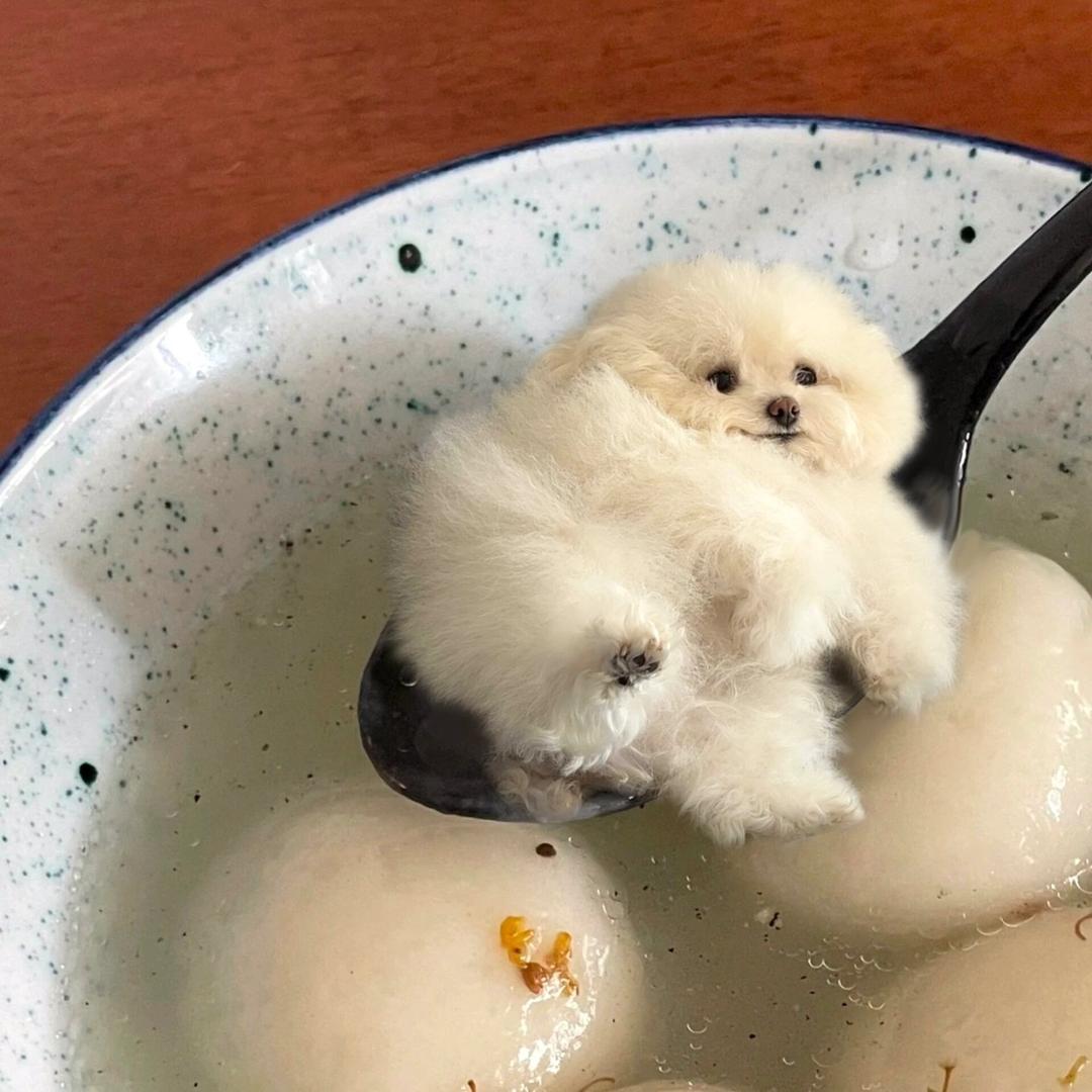 长风.图书