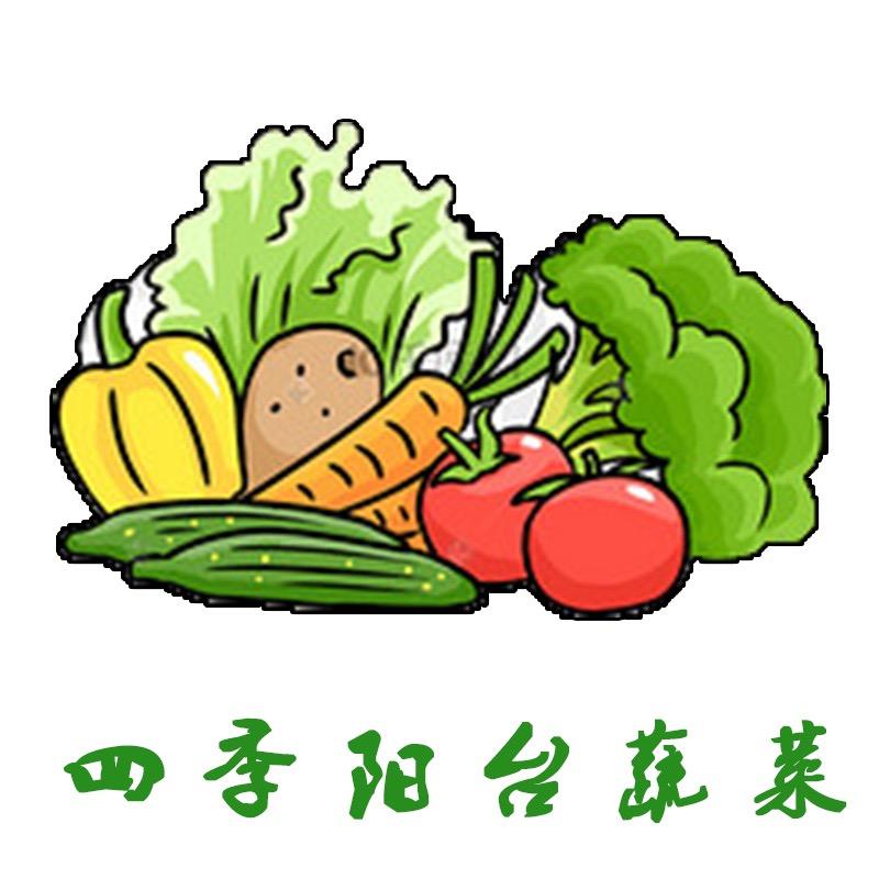 四季阳台蔬菜