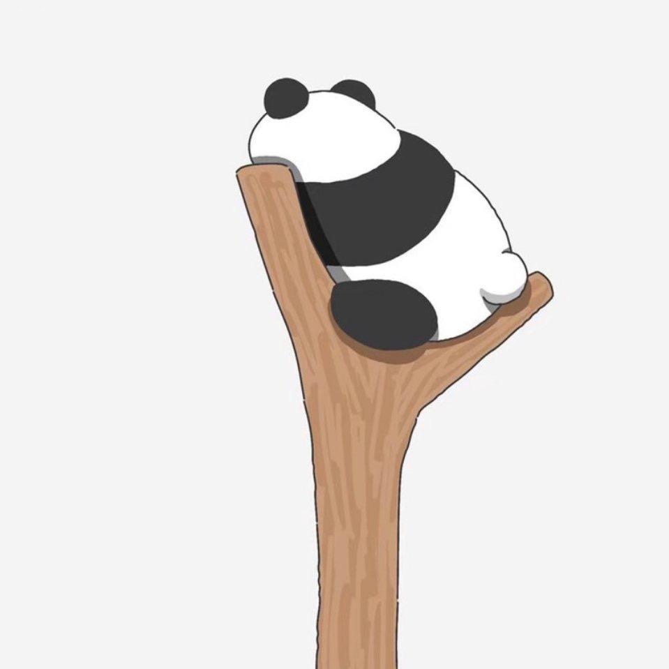一āng杨