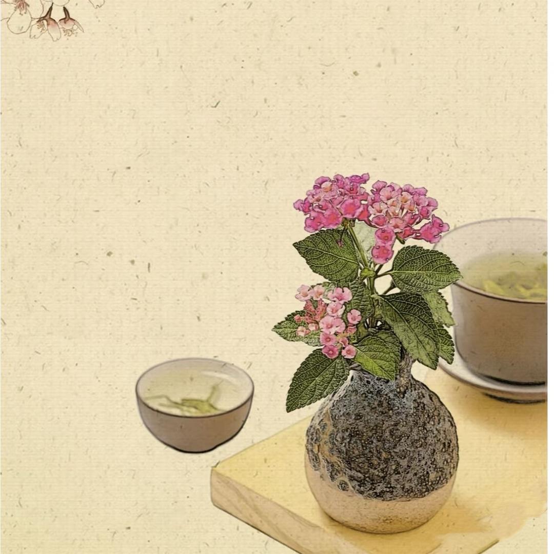 熠熠生辉