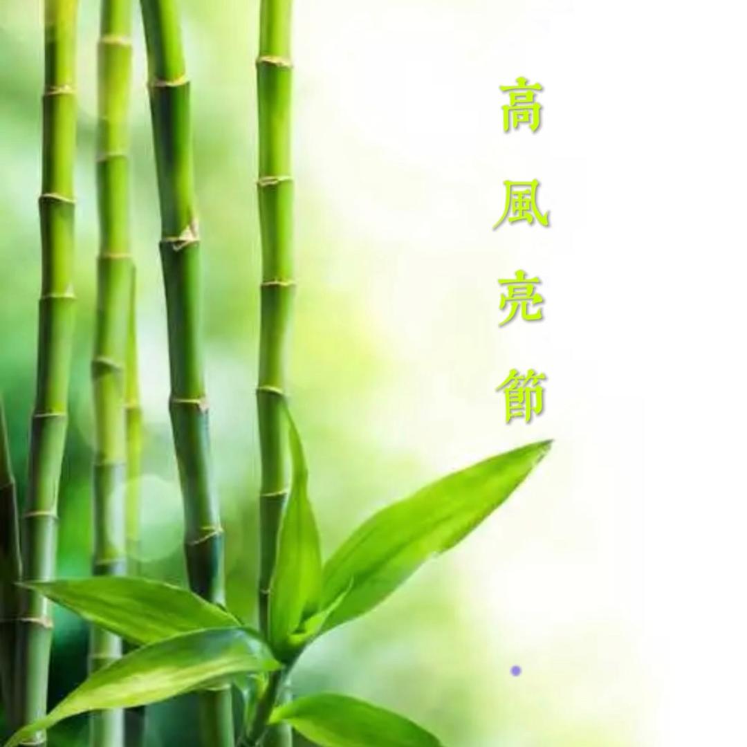 🌱淡若清风☘️