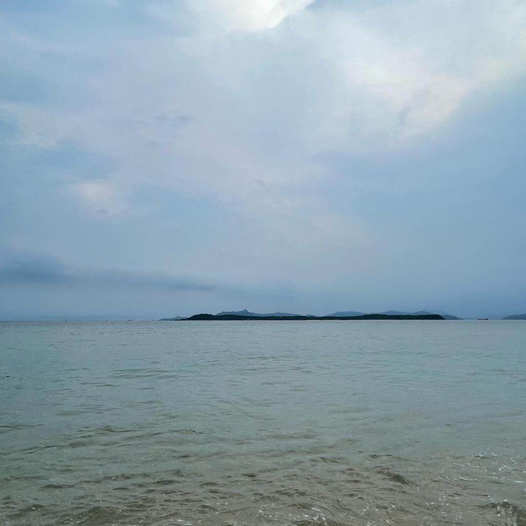 张蔡（招财）进宝