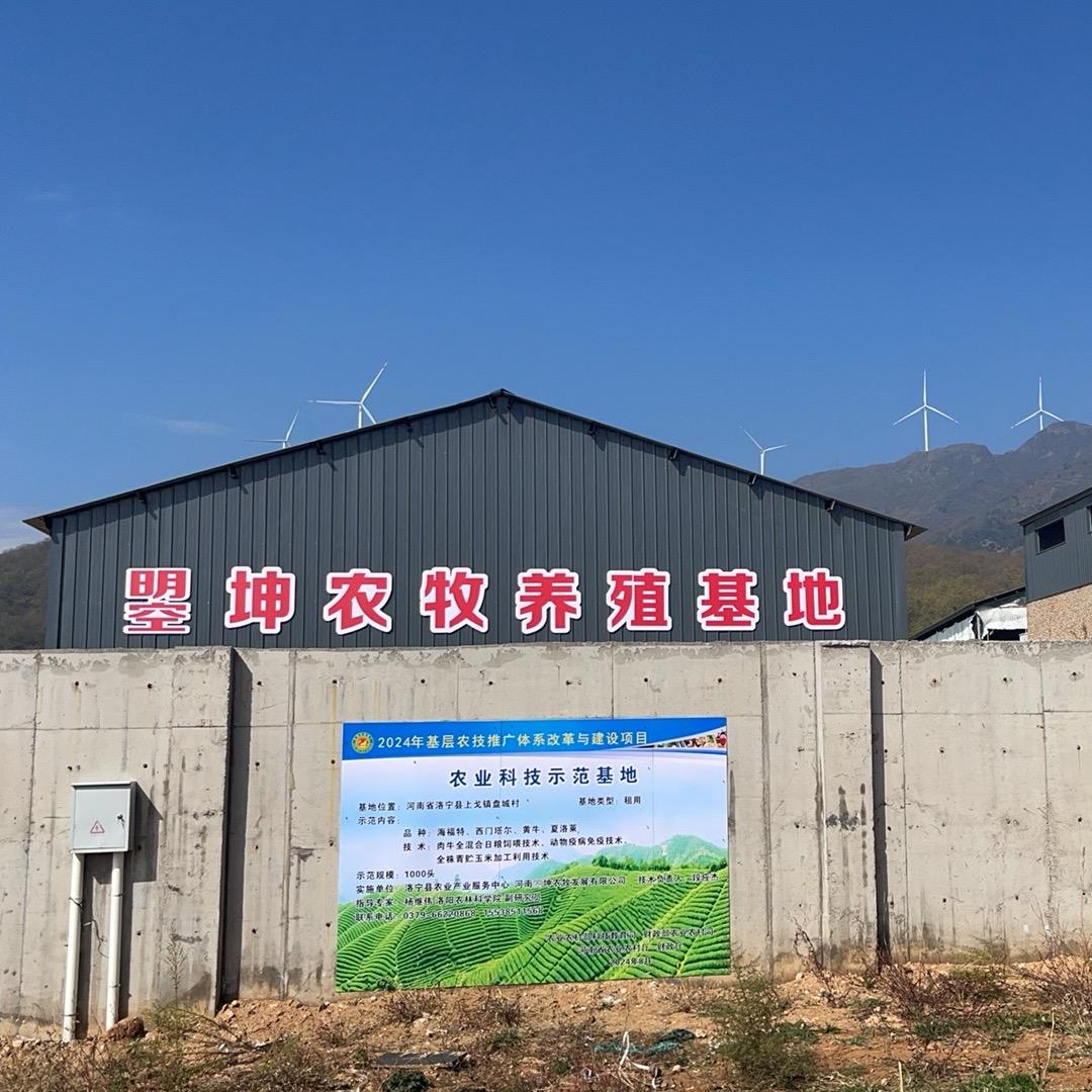 西秦岭虎头高山牧场直播间