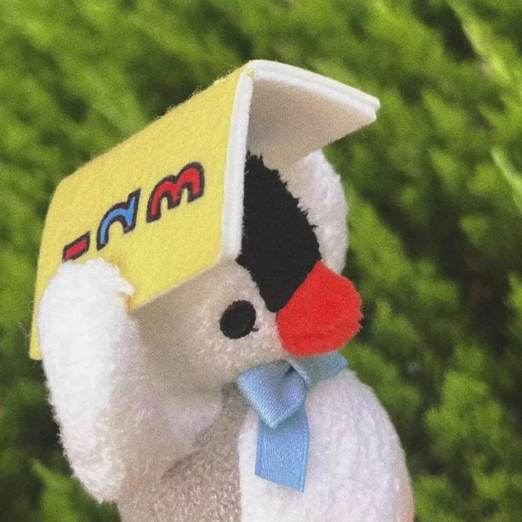 喜欢睡个好觉💤