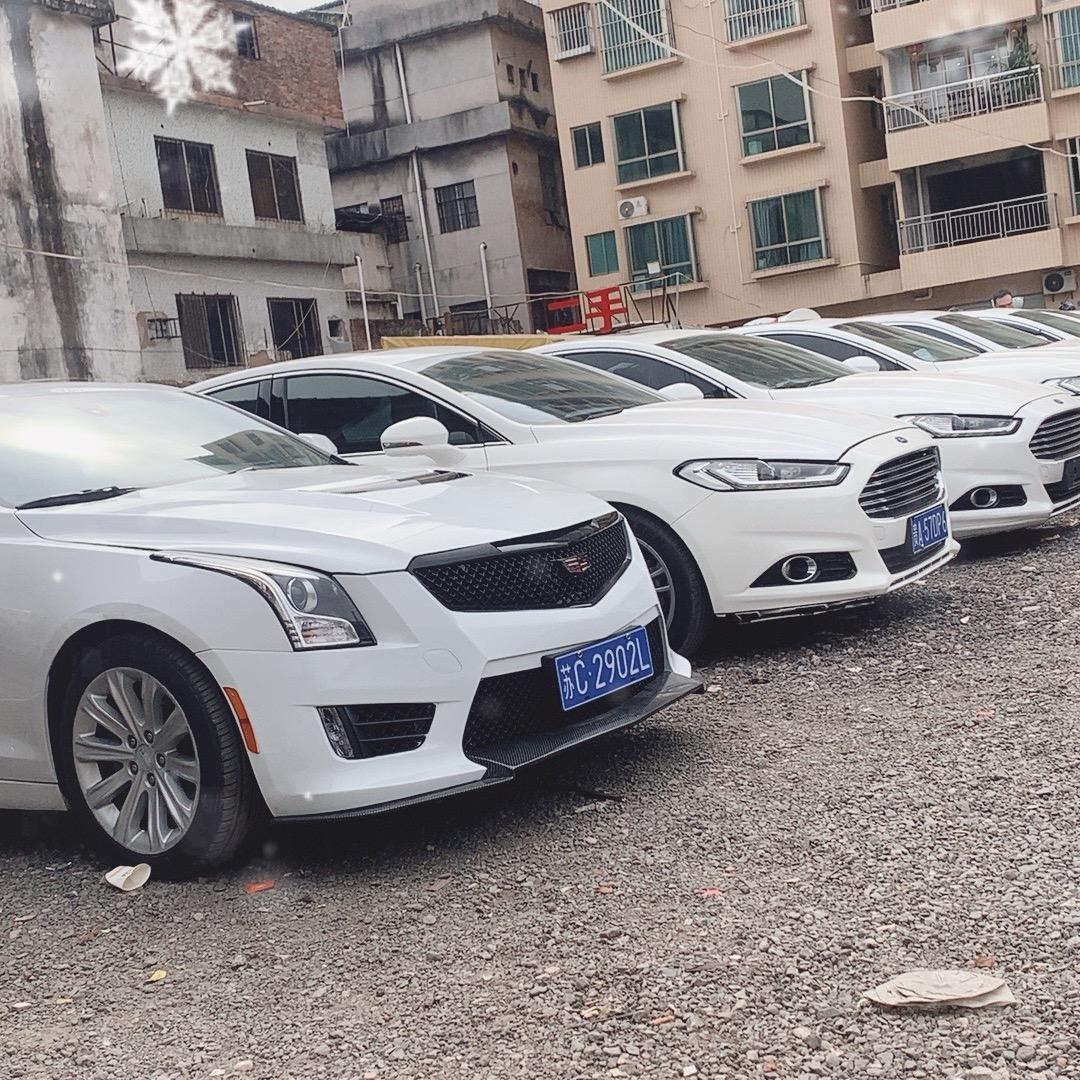 硨多多《宝哥》！