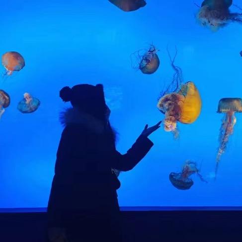 袁一敬