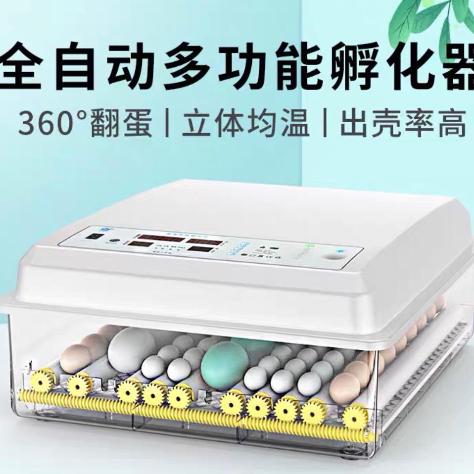 爱好孵化工作者