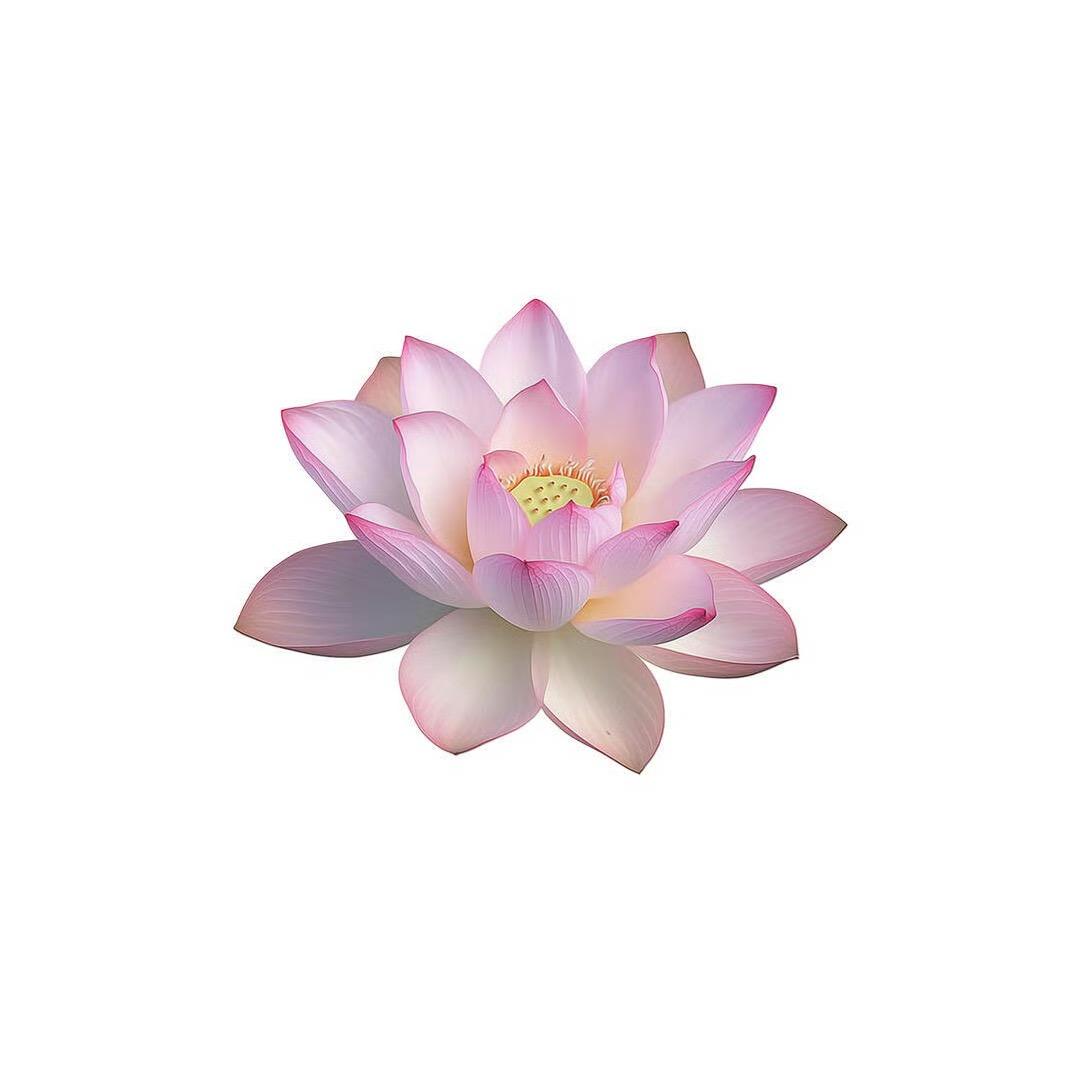 窗外秋
