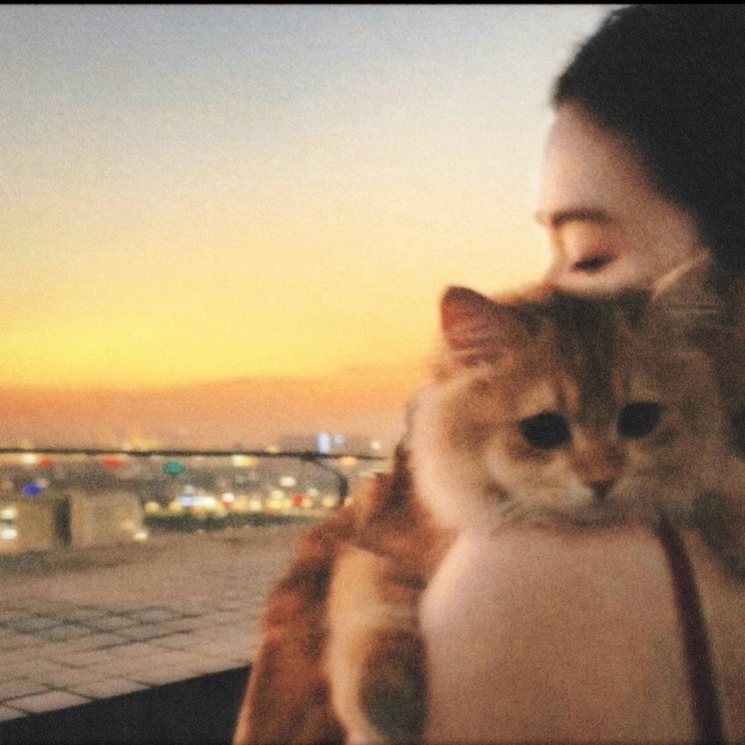 泡芙小姐