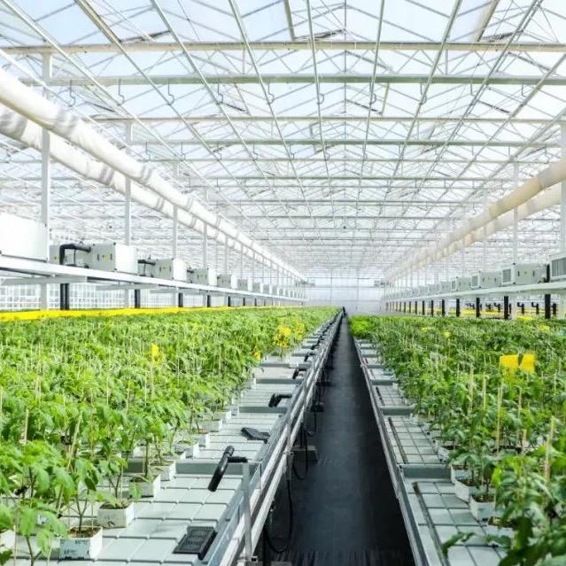 三铭种苗企业店