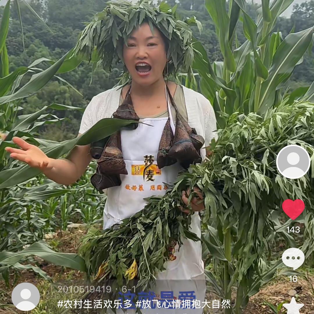 木棉花的燕子