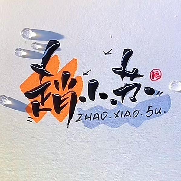 赵小苏车轮饼