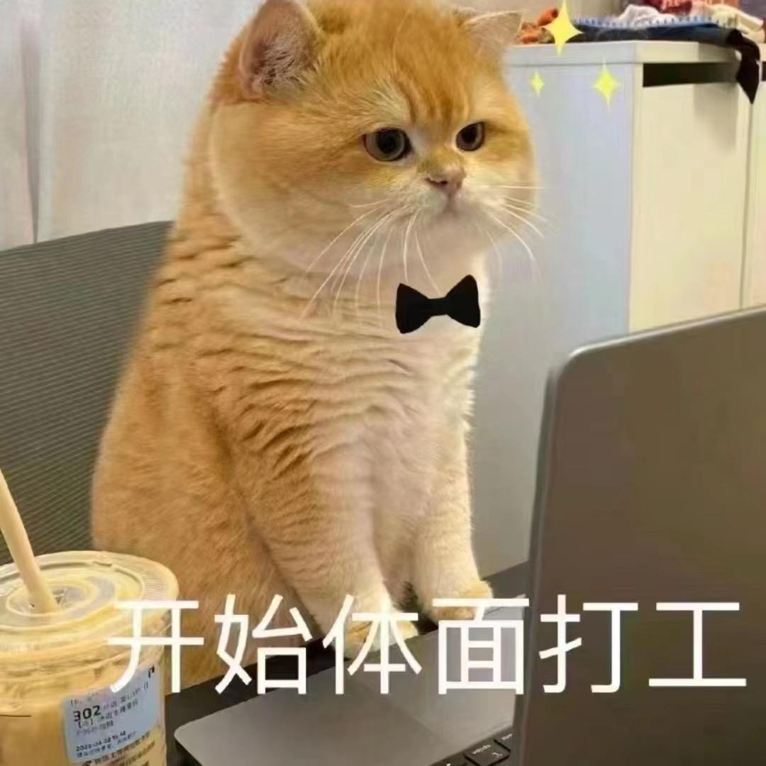 超熊七七--博白桂叔美食