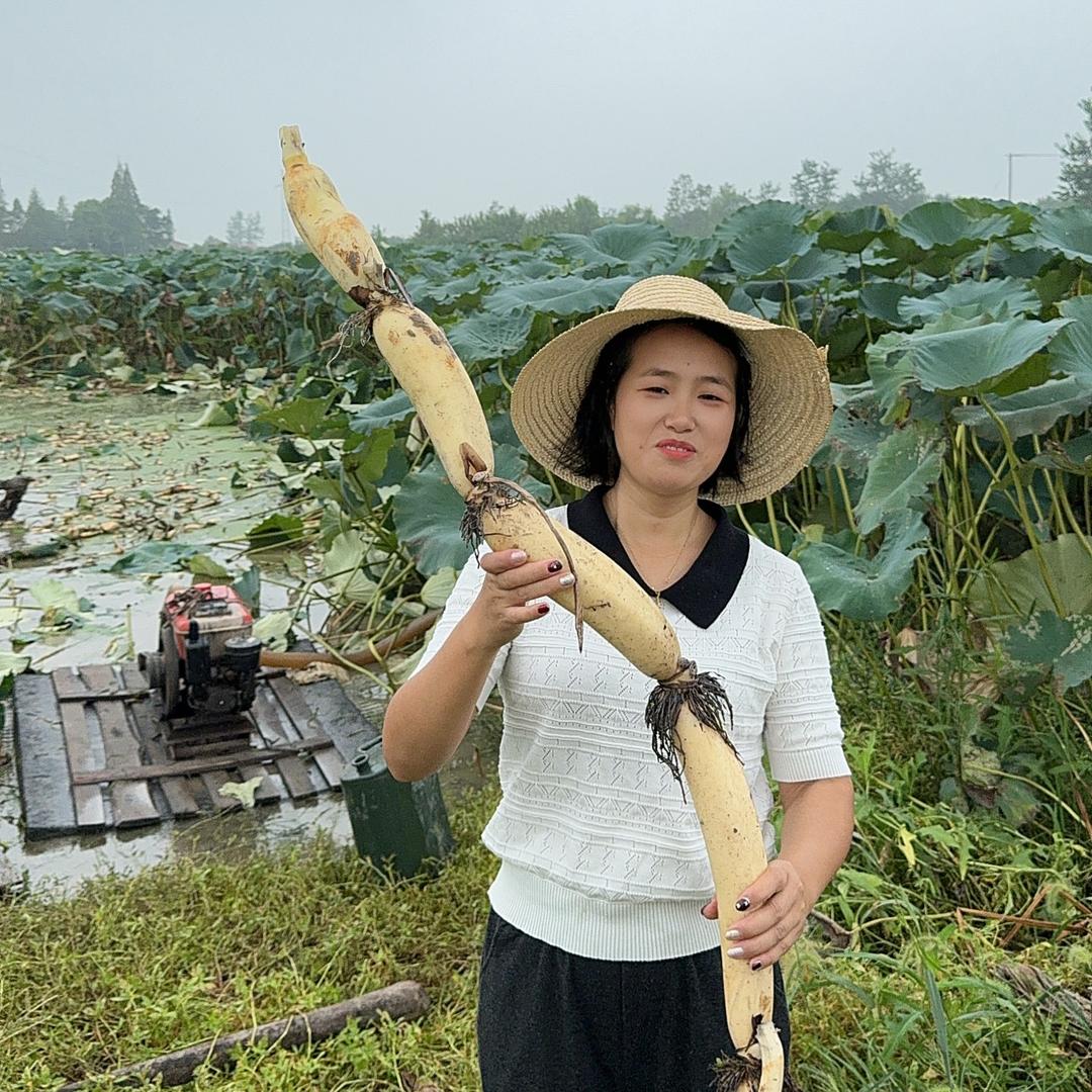 洪湖清水莲藕直供站