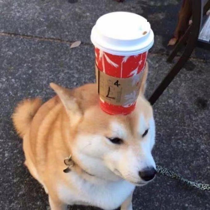 禹洲朗廷云墅 Mr钟