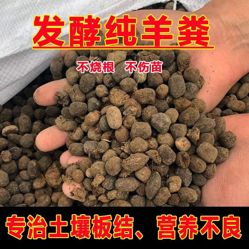 严农牧业-纯羊粪发酵肥