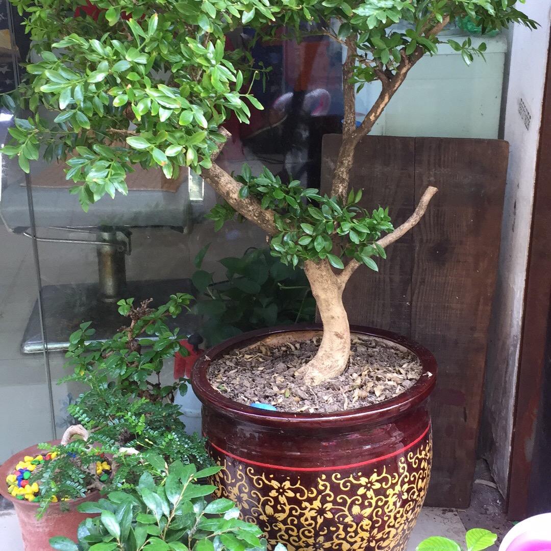李姐