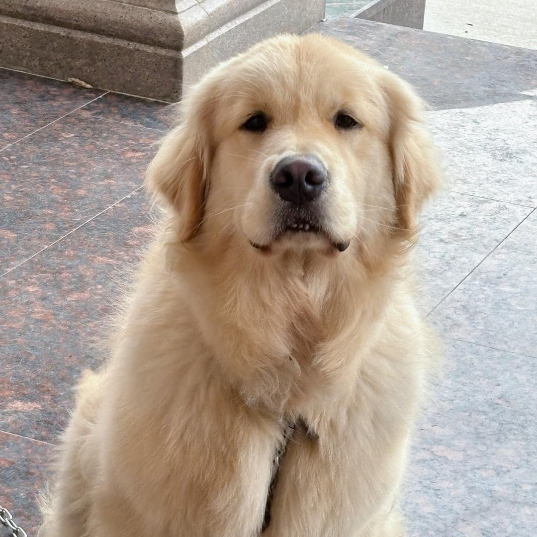 Niko.尼可