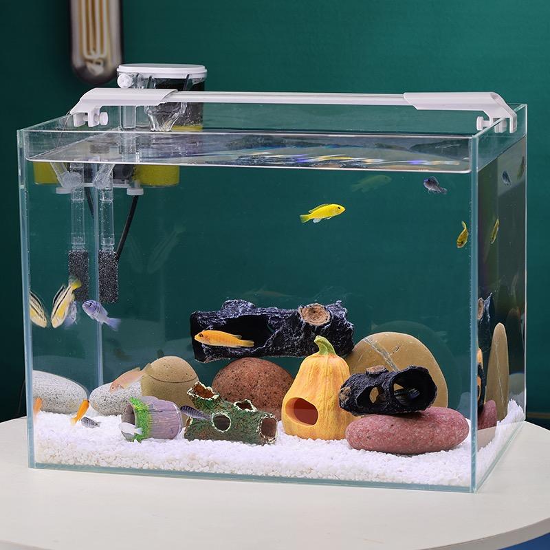 滑县焕宠宠物用品店