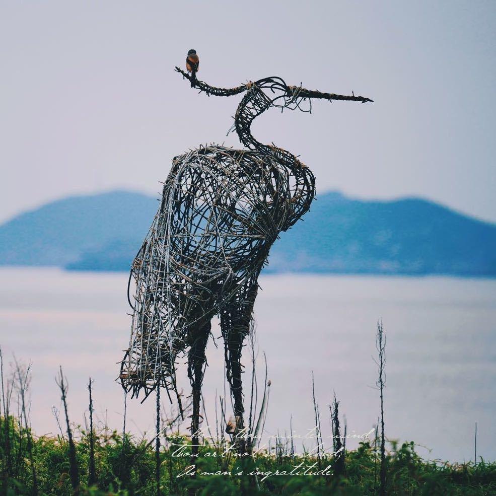 生活幻想家