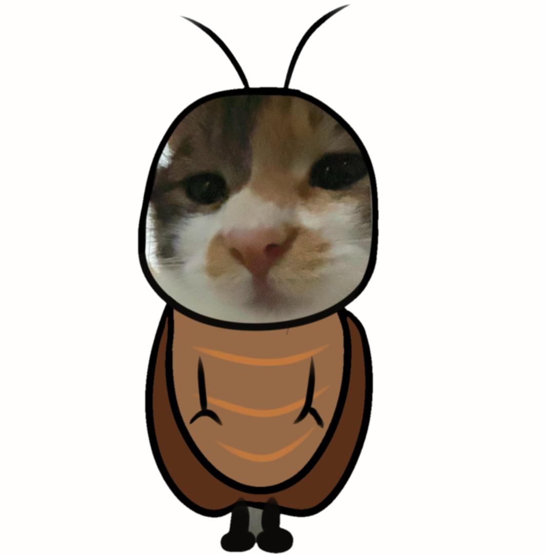 ￴琪少