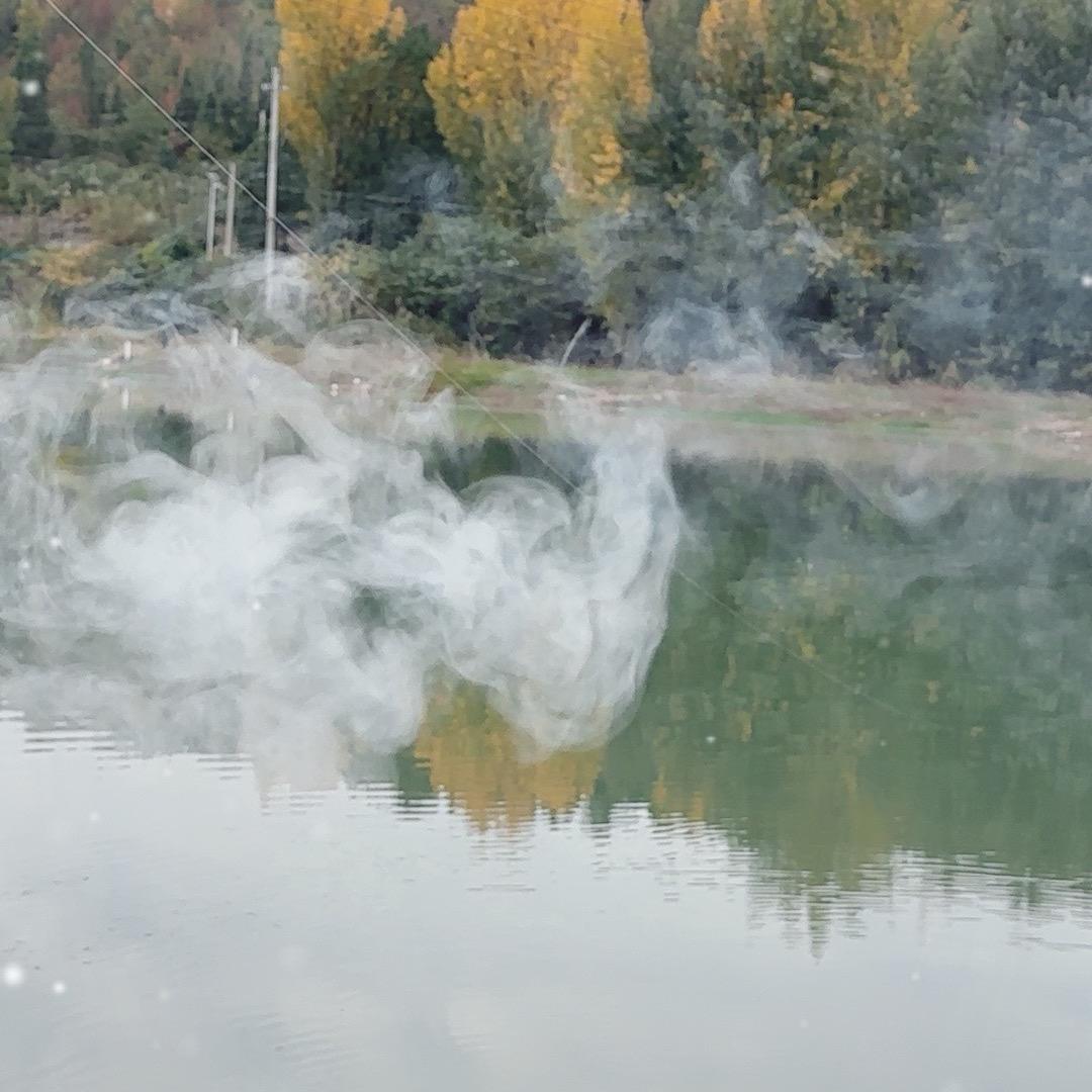 豆芽