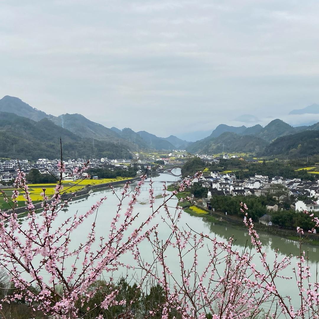 小文文