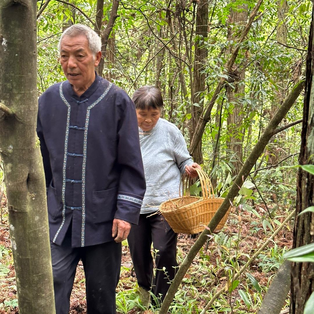 杨顺爱大健康