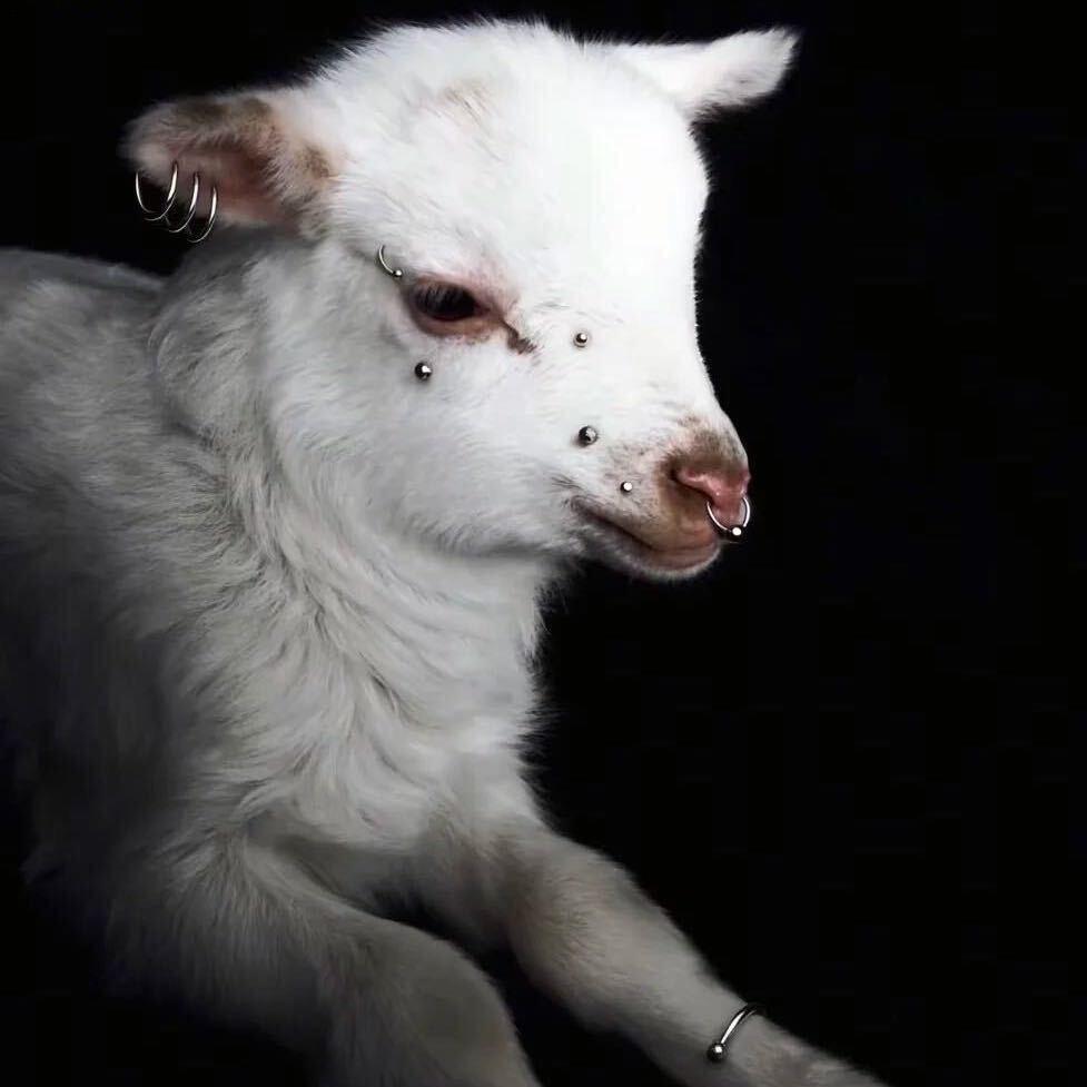 阿那个霖（约妆版）