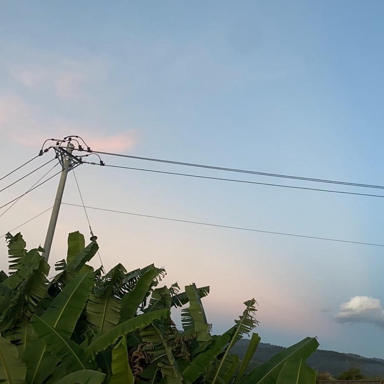 源头砍山货