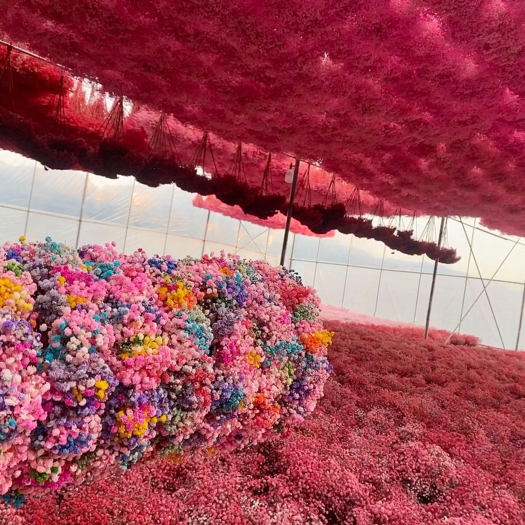 永生满天星花束 花环批发    工厂直销