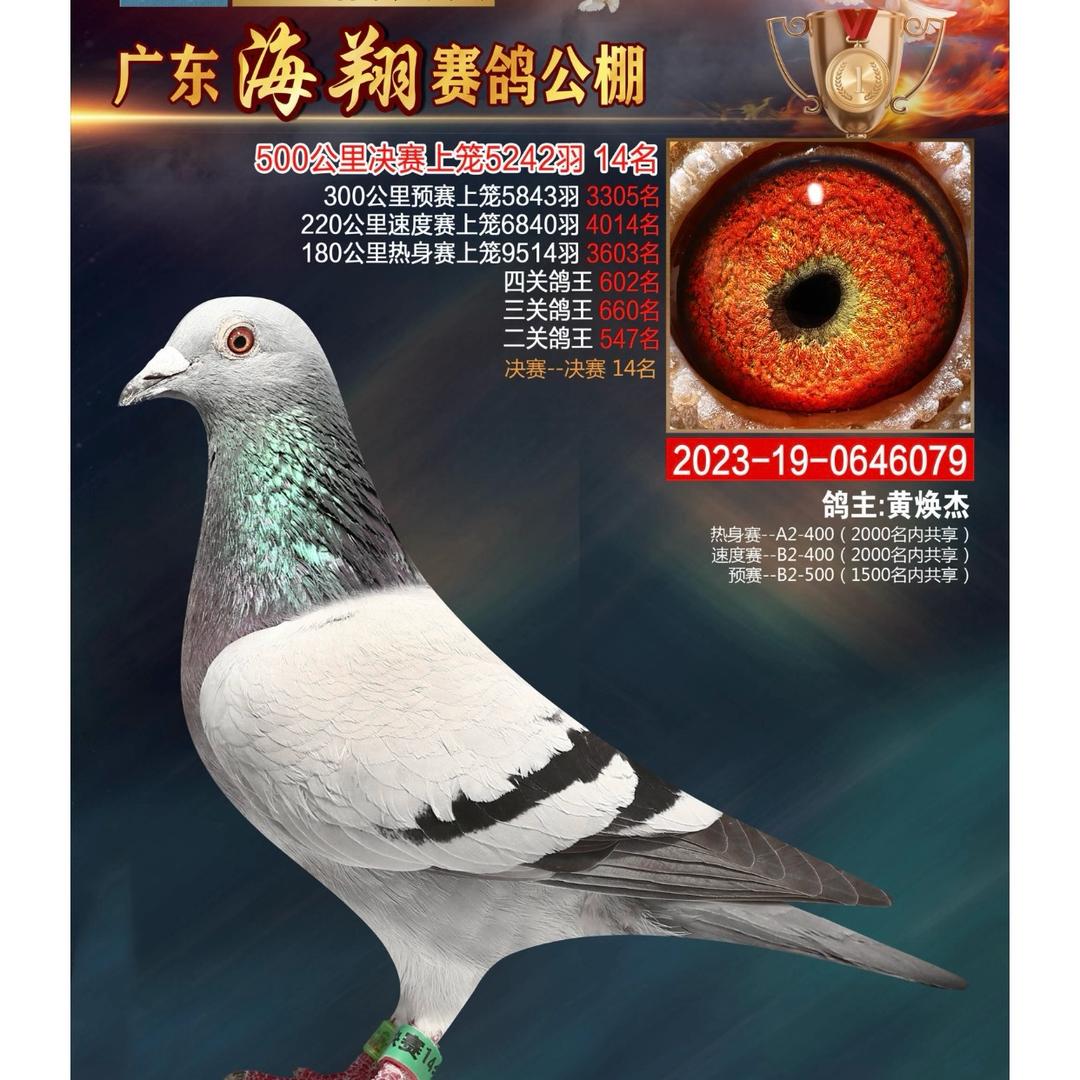 蓝牙鸽舍
