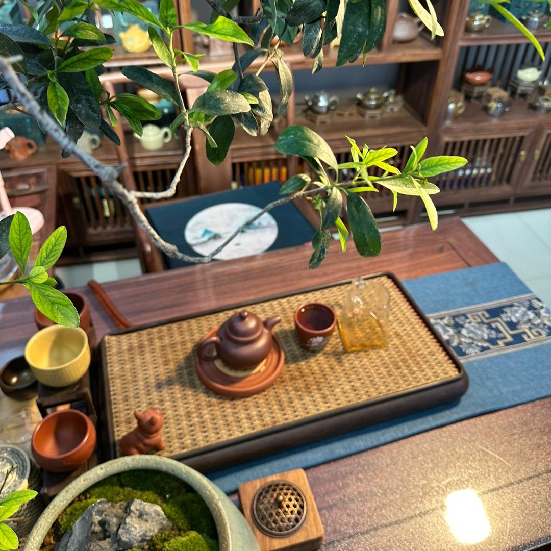 壶与茶说•茶空间