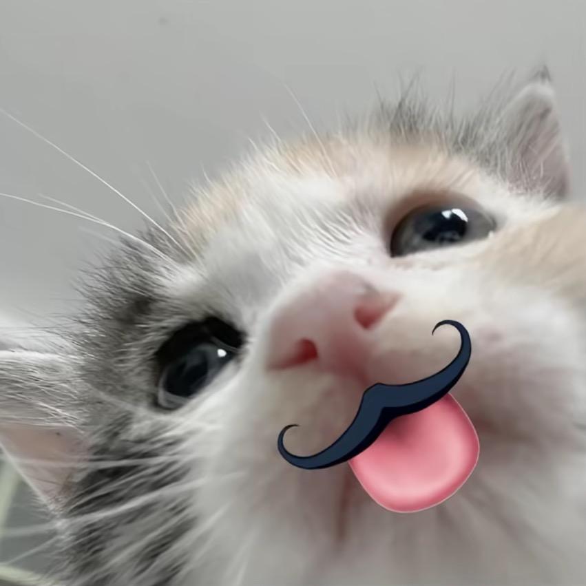 梨涡