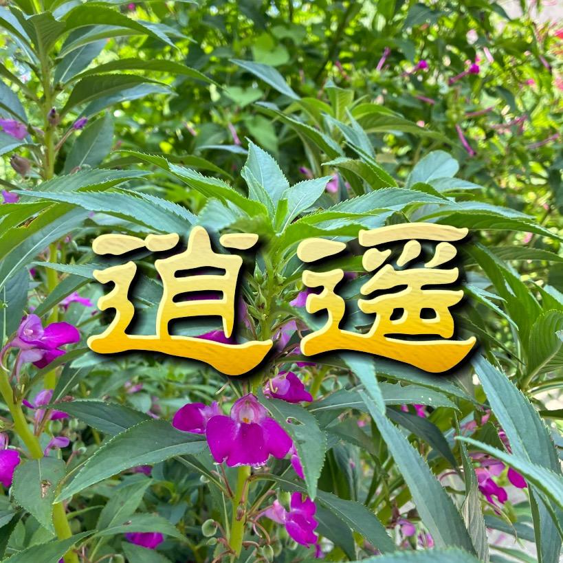 洪湖李逍遥