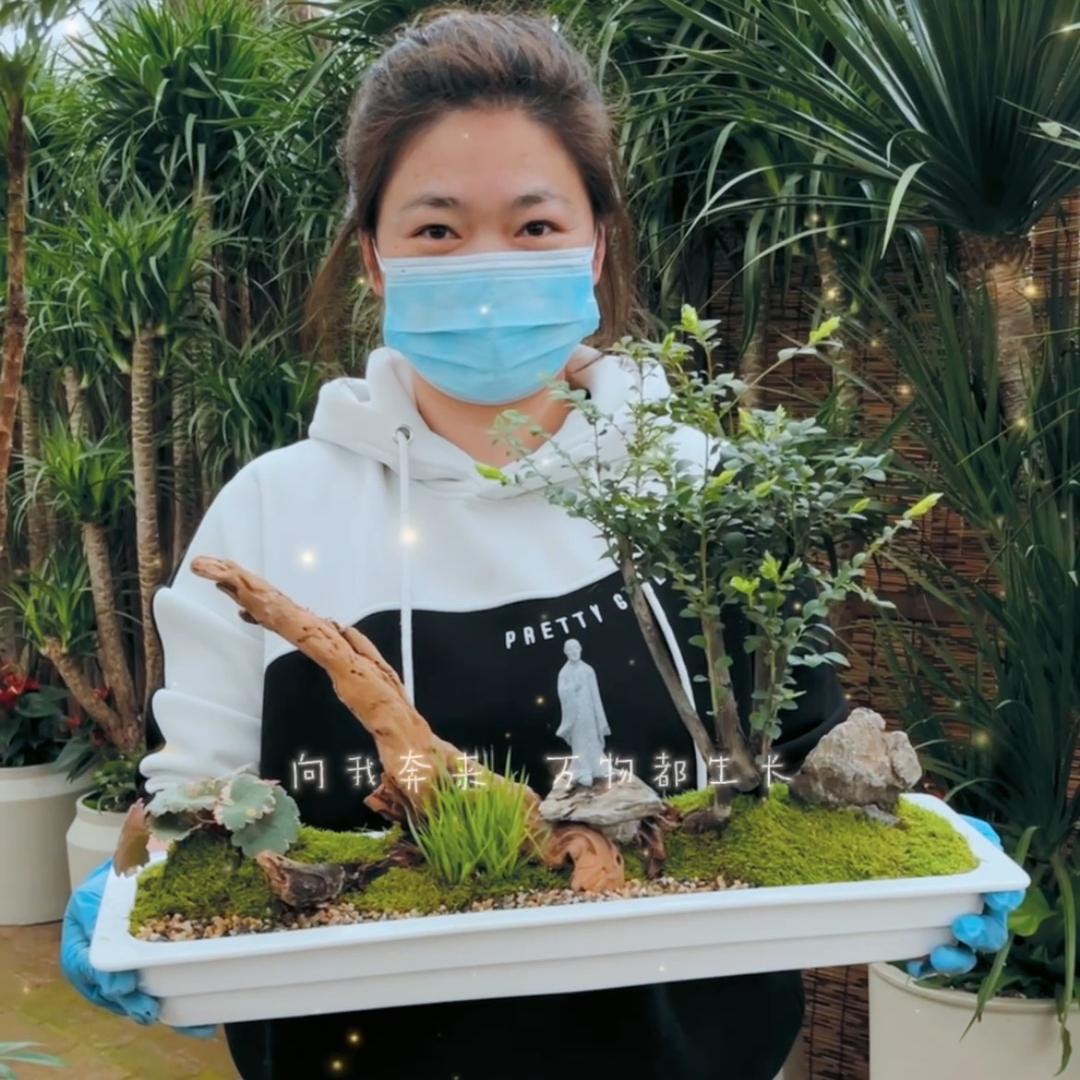 娜娜植培-景观设计
