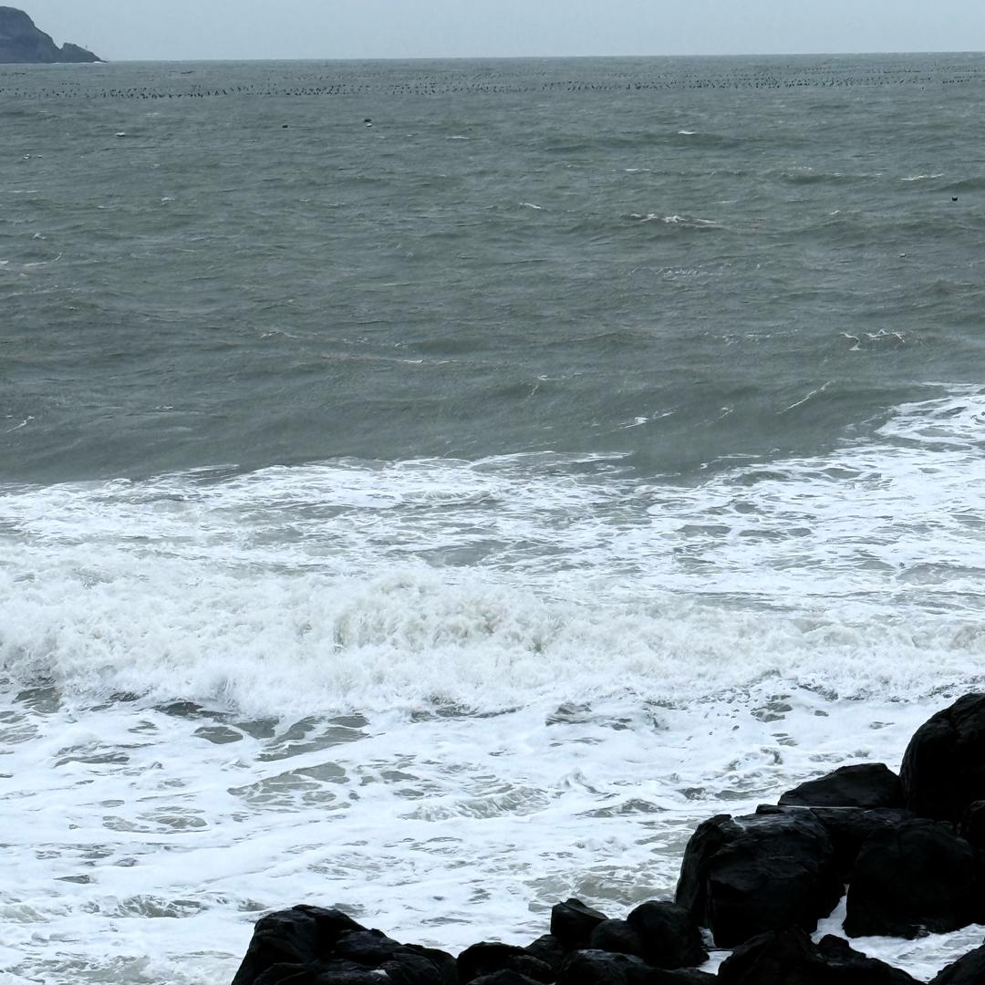 马丁