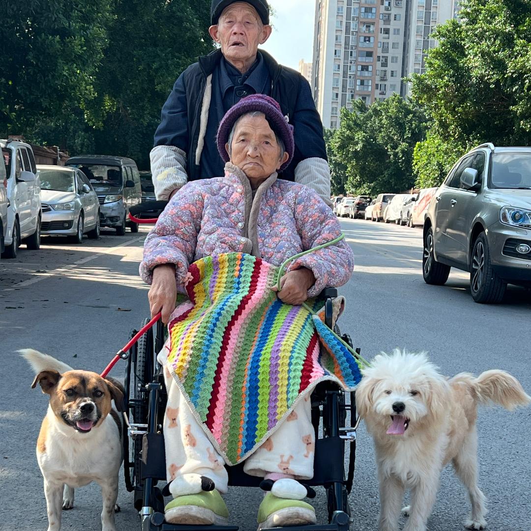 爱爷爷奶奶的婵娟