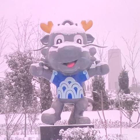 啊狸