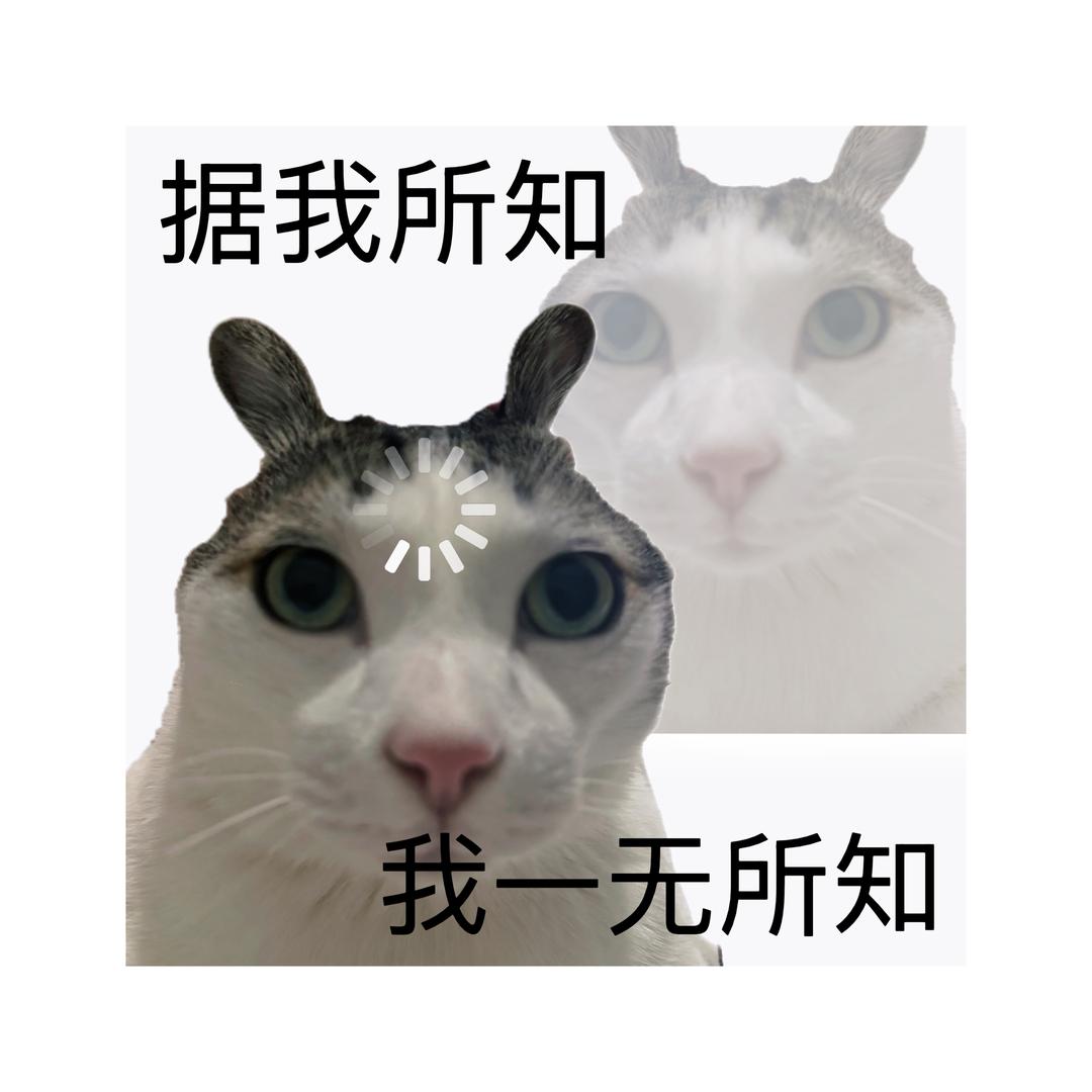 Do you love 咪？