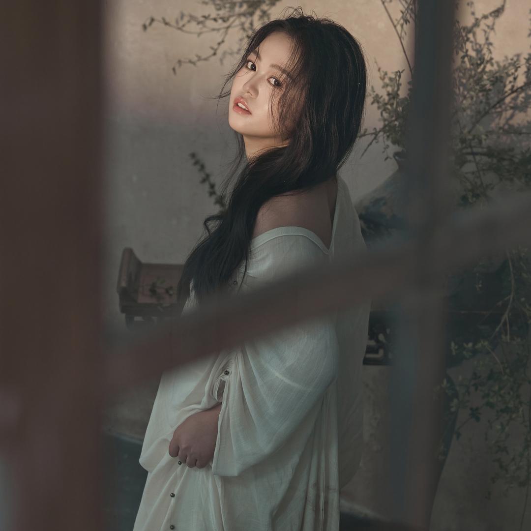 정정 씨