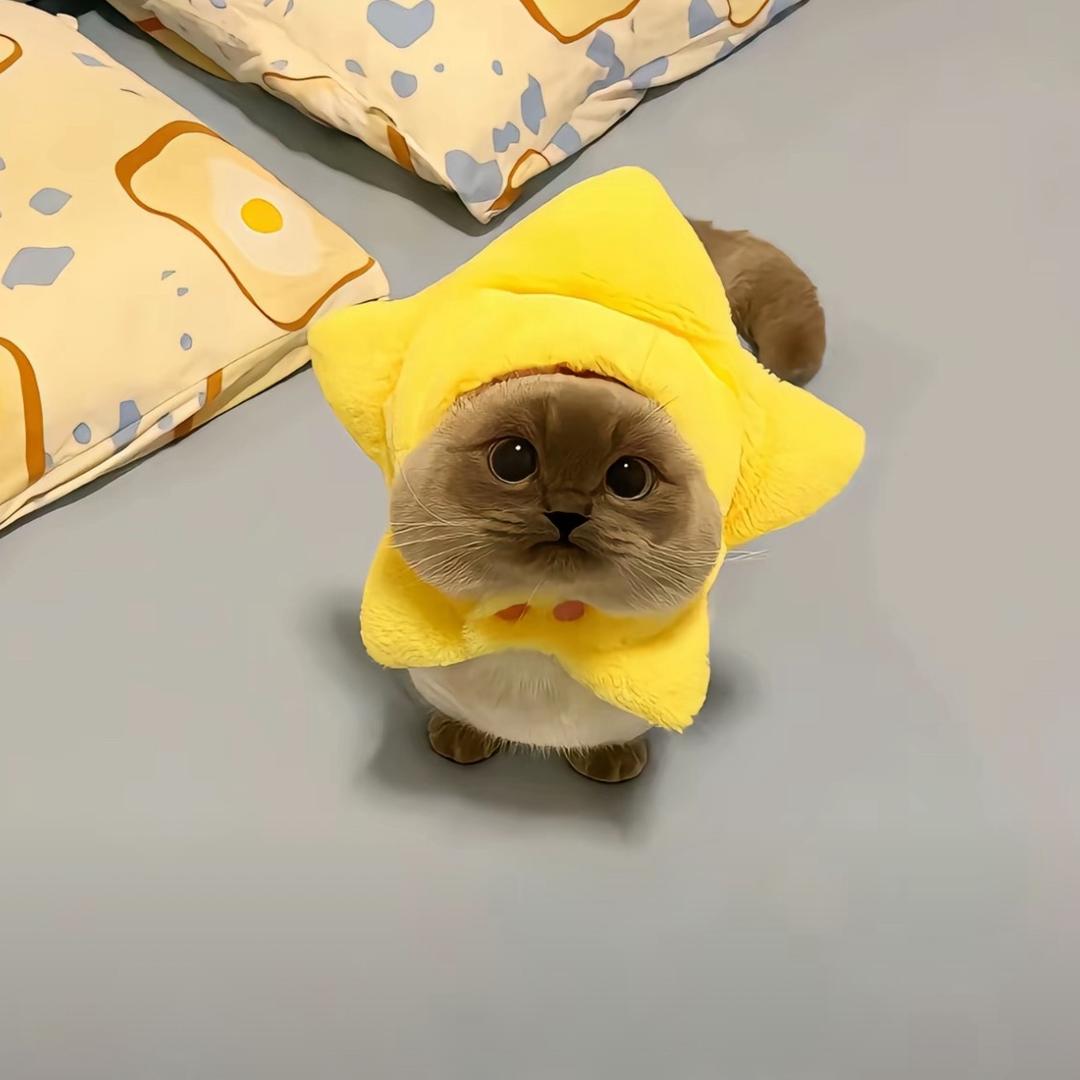 🐥